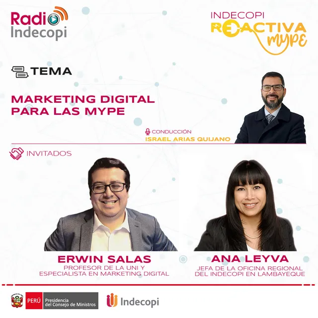 Digital Marketing for Micro and Small Businesses—INDECOPI REACTIVA MYPE