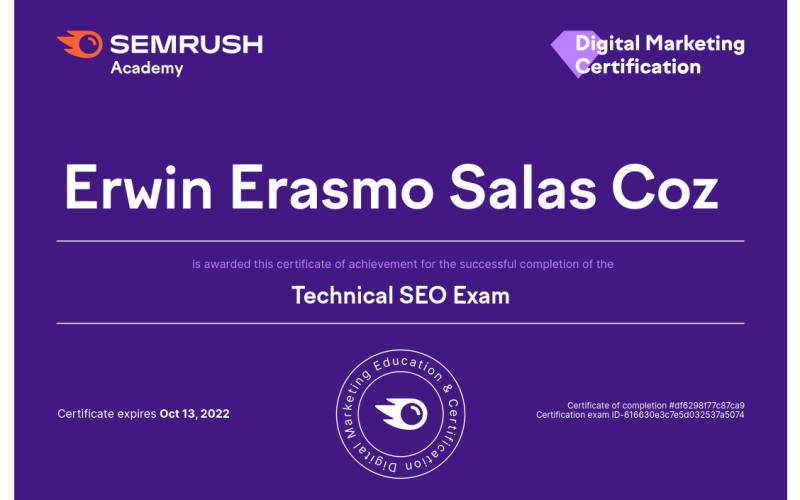 erwin salas certificado seo tecnico